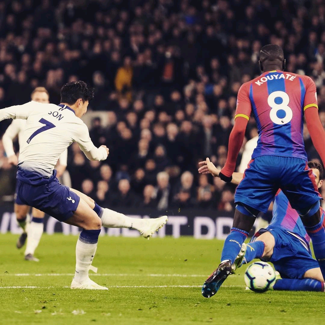 充分展示了 充分展示了