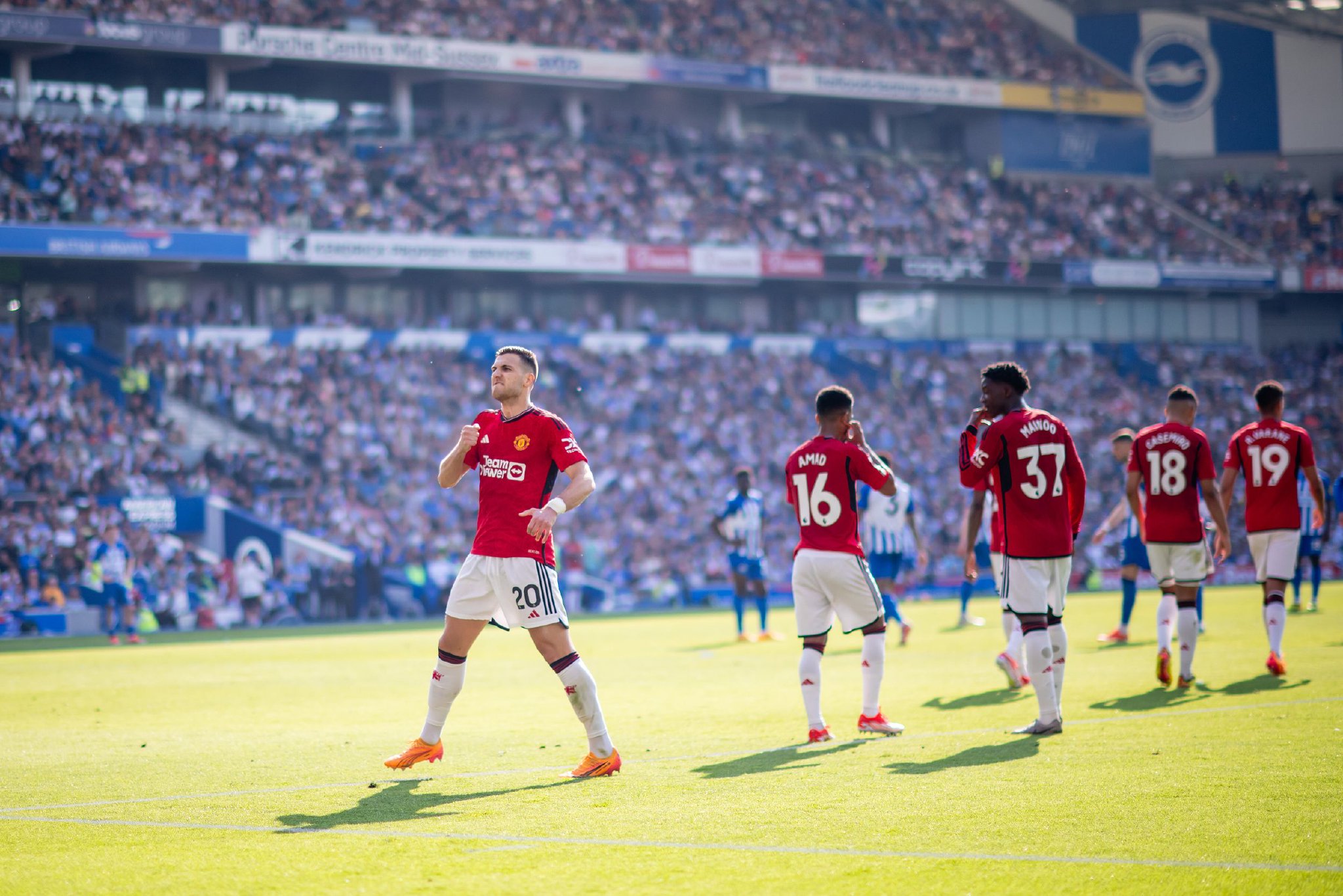 坚韧不拔的 坚韧不拔的